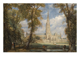 Salisbury Cathedral from the Bishop's Grounds