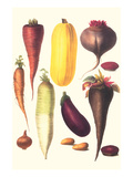 Eggplant  Nuts  and Tubers