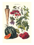 Vegetables; Strawberries  Beans  Tomato  Melon  and Raddish