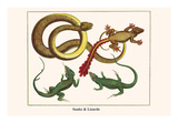 Snake and Lizards