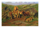 Weaning the Calves