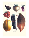 Vegetables; Tomato  Raddish  Sweet  Pumpkin  Carrots  Yam