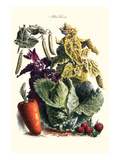 Vegetables; Cabbage  Peas  Strawberries  and Carrot