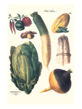 Vegetables; White Asparagus  Spago  Peppers  Cabbage  Turnip
