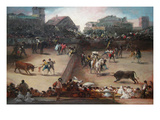 Bull Fight in a Divided Ring