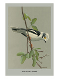 Nike Hemt Shrike