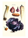 Vegetables; Cabbage  Celery  Yam  Potato  Onion  Tomato  Horse Raddish