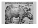 Rhinoceros