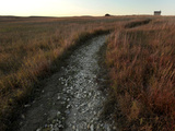 Travel Trip Tallgrass Prairie