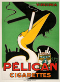 Pelican