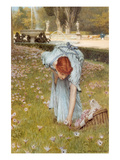 Flora