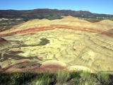 Travel Fossil Park