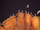 APTOPIX Nationals Giants Baseball