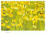Yellow Irises