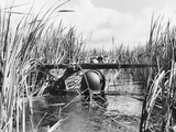 Vietnam War South Vietnamese Army