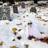 October Snow