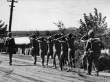 Korean War Prisoners Seoul