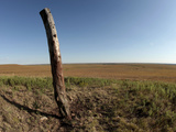 Travel Trip Tallgrass Prairie