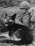 Vietnam War
