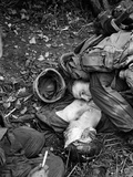 Vietnam War US Dead