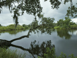 Florida Drought