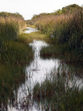 Travel Trip Airboat Everglades