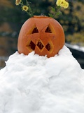Fall Snow
