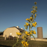 Travel Trip Tallgrass Prairie