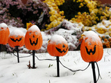 October Snow
