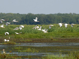 Everglades Reservoirs
