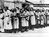 WWII Auschwitz Women Prisoners