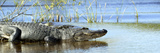 Everglades Restoration