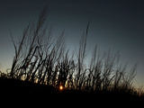 Travel Trip Tallgrass Prairie