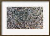 Pollock: Number 1