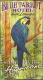 Blue Parrot Vintage