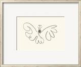 The Butterfly