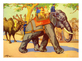 Infant School Illustrations  UK