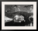 New York Pond in Winter