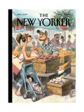 The New Yorker Cover - May 30  2011