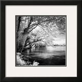 Spring on the River Square I