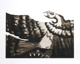 Condor II