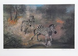 Fire on the Savannah