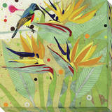 Hummingbird 2