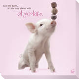 In The Pink! - Chocolates