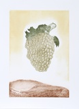 Golden Grapes