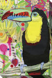 Toucan