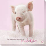 In The Pink! - Winking Pig