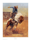 Dusty Bronc