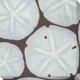 Sand Dollars