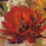 Fiery Dahlias II